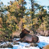 Review photo of Trailer Village RV Park — Grand Canyon National Park by Corey O., March 1, 2021