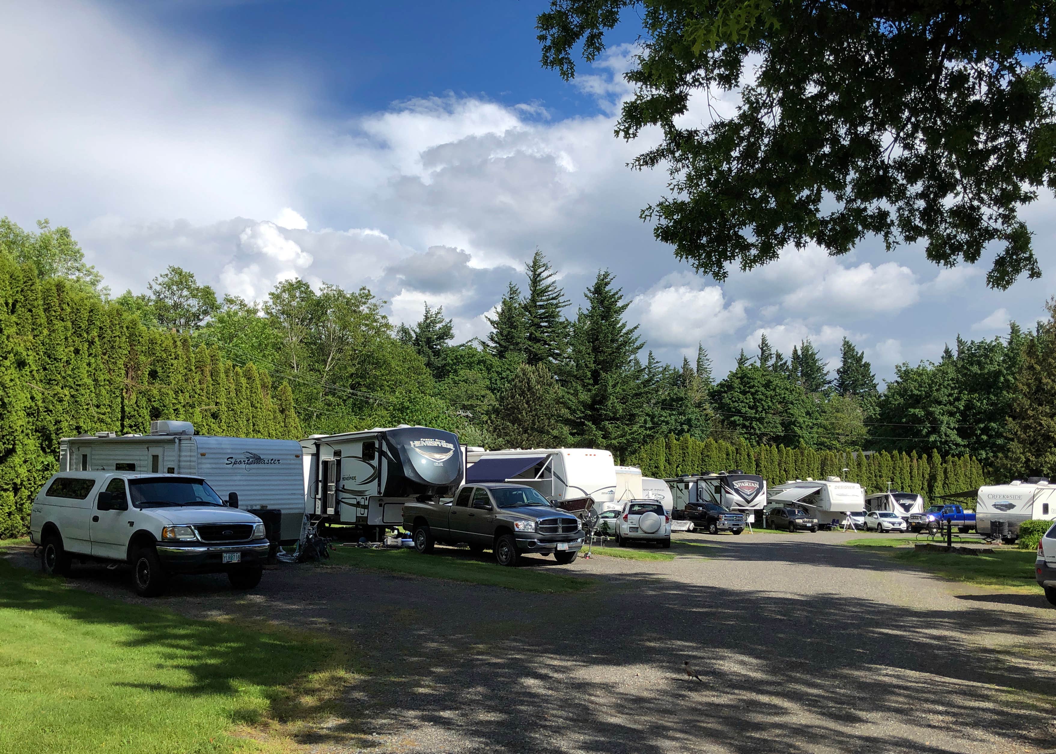 Crown Point RV Park Camping | The Dyrt