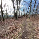 Review photo of Jones Gap Backcountry Campsite by Asher K., March 1, 2021