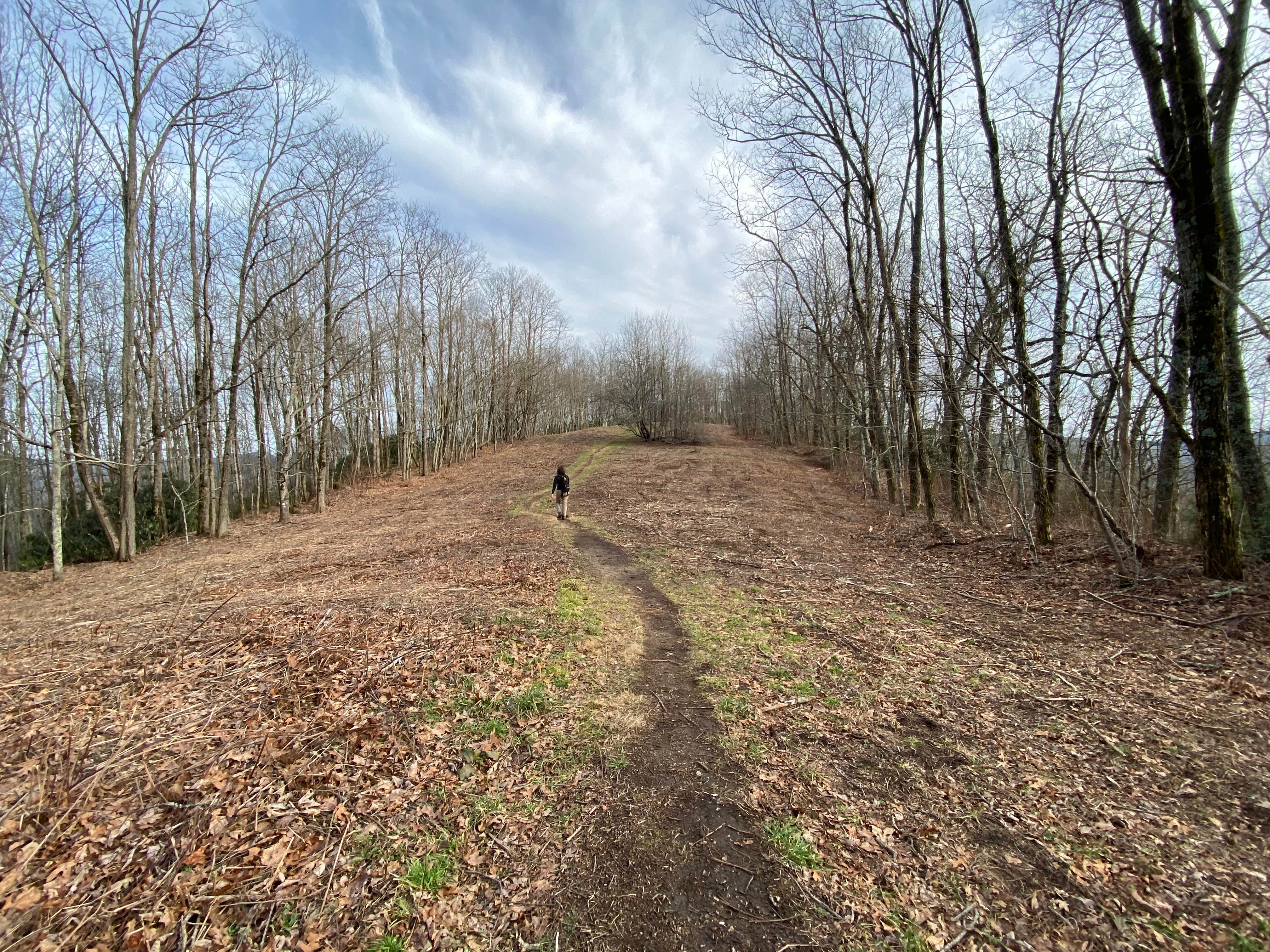 Camper submitted image from Jones Gap Backcountry Campsite - 1