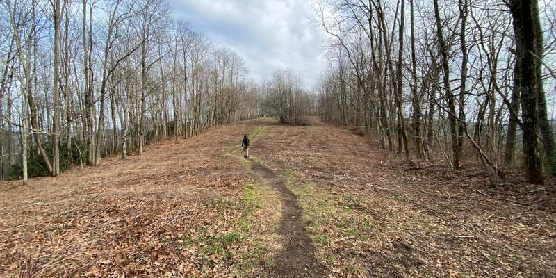 Camper submitted image from Jones Gap Backcountry Campsite