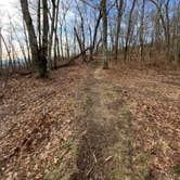 Review photo of Jones Gap Backcountry Campsite by Asher K., March 1, 2021