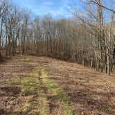 Review photo of Jones Gap Backcountry Campsite by Asher K., March 1, 2021