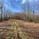 Review photo of Jones Gap Backcountry Campsite by Asher K., March 1, 2021