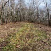 Review photo of Jones Gap Backcountry Campsite by Asher K., March 1, 2021