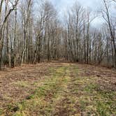 Review photo of Jones Gap Backcountry Campsite by Asher K., March 1, 2021