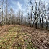 Review photo of Jones Gap Backcountry Campsite by Asher K., March 1, 2021