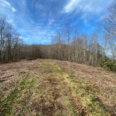 Review photo of Jones Gap Backcountry Campsite by Asher K., March 1, 2021