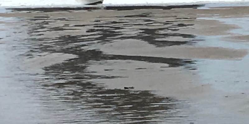 Camper submitted image from Hart's Camp