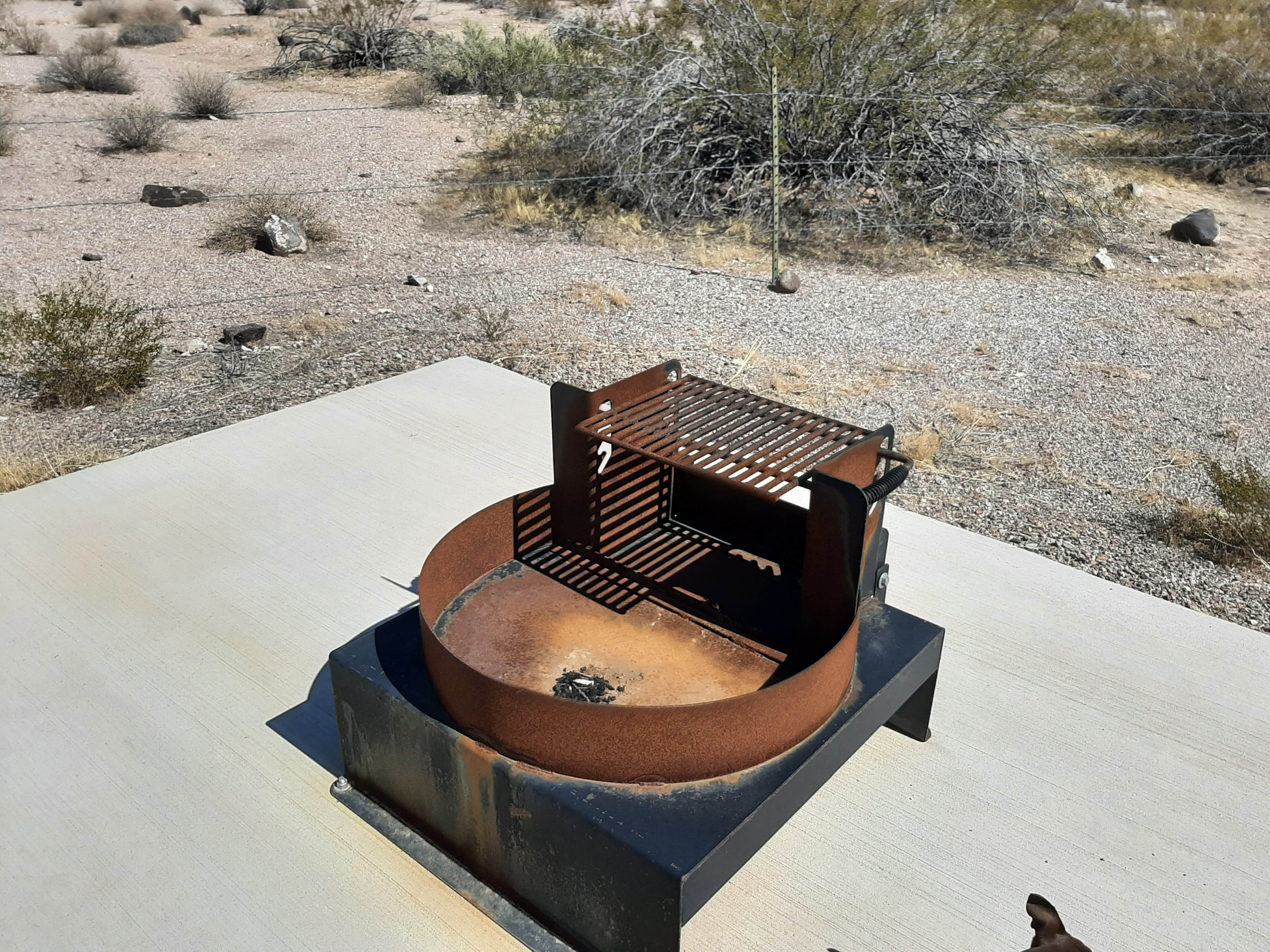 Camper-submitted photo at Painted Rock Petroglyph Site And Campground near Arlington, AZ