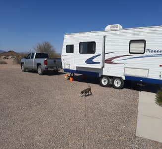 Camper-submitted photo from Painted Rock Petroglyph Site and Campground