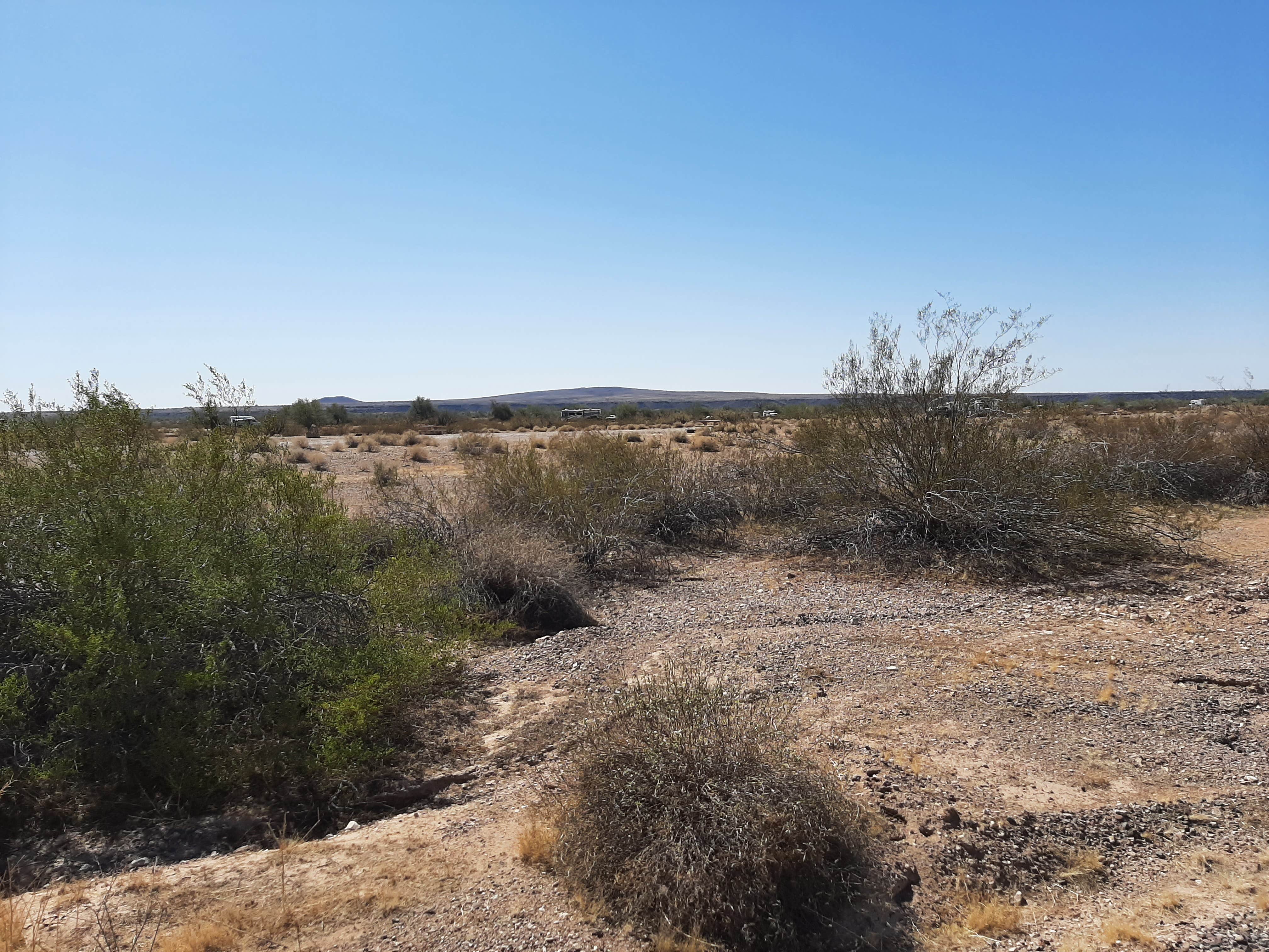Camper-submitted photo at Painted Rock Petroglyph Site And Campground near Arlington, AZ