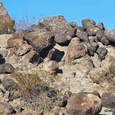 Review photo of Painted Rock Petroglyph Site And Campground by Larry B., March 1, 2021