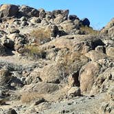 Review photo of Painted Rock Petroglyph Site And Campground by Larry B., March 1, 2021