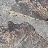 Review photo of Painted Rock Petroglyph Site And Campground by Larry B., March 1, 2021