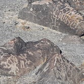 Review photo of Painted Rock Petroglyph Site and Campground by Larry B., March 1, 2021