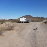 Review photo of Painted Rock Petroglyph Site And Campground by Larry B., March 1, 2021