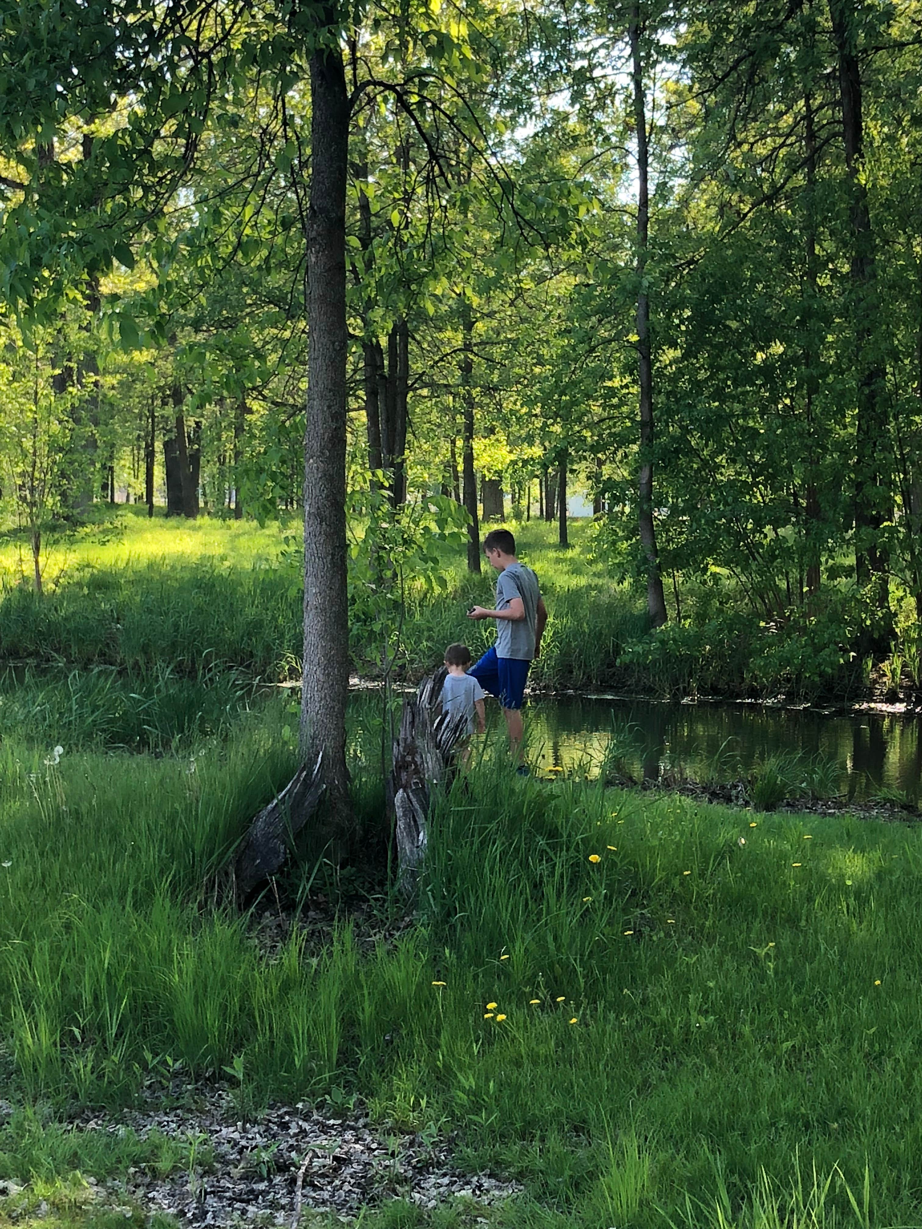 Camper-submitted photo at Holtwood Campsite Municipal Park near Suamico, WI