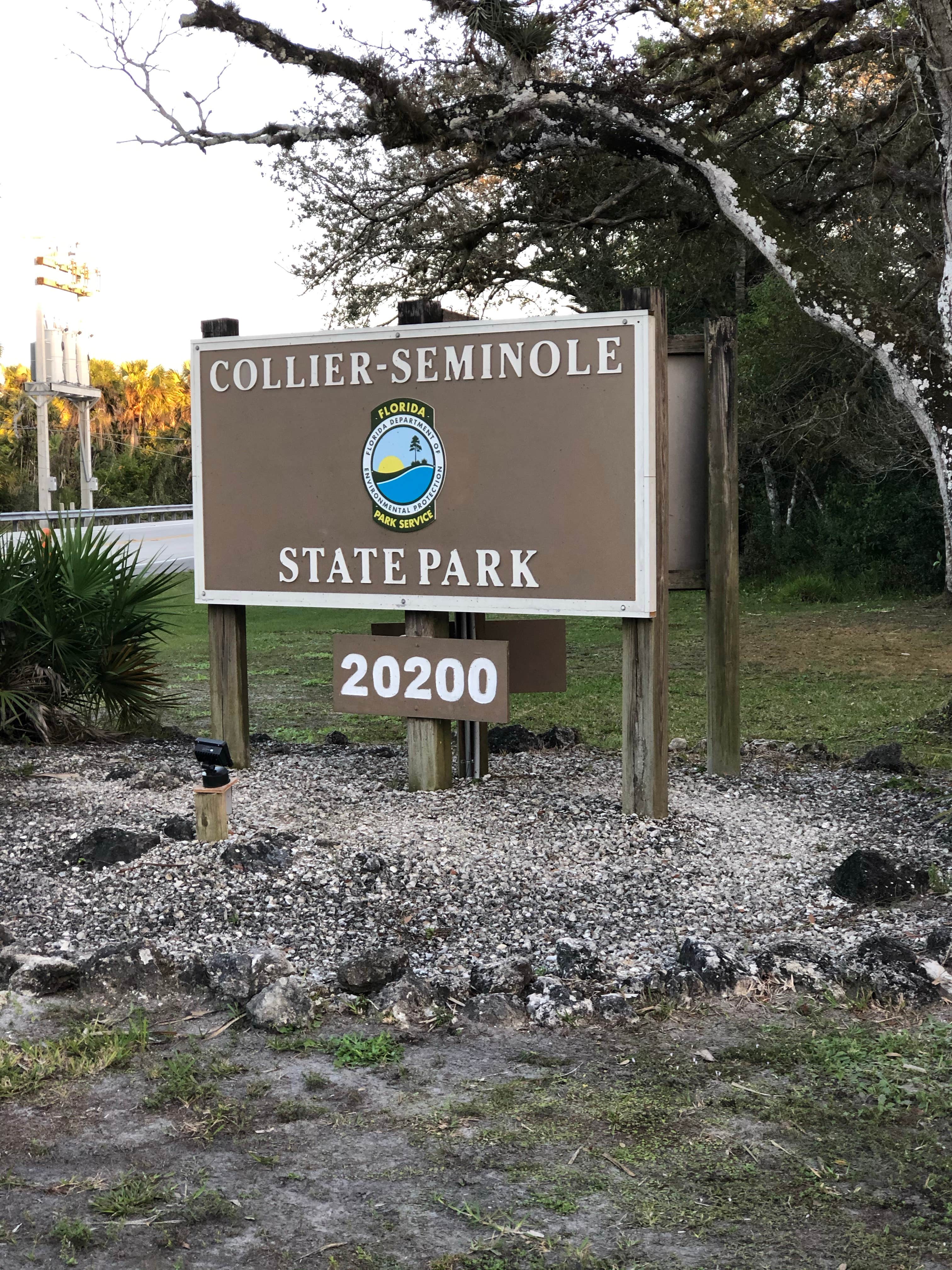 Bonita Springs photo 3