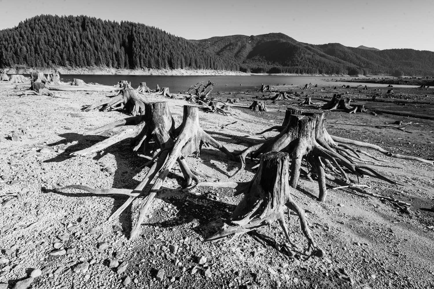 Camper-submitted photo at Detroit Lake State Recreation Area Campground near Gates, OR