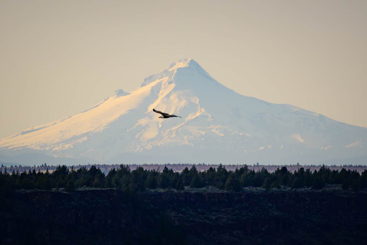 Camper submitted image from Deschutes River Campground — The Cove Palisades State Park - 1