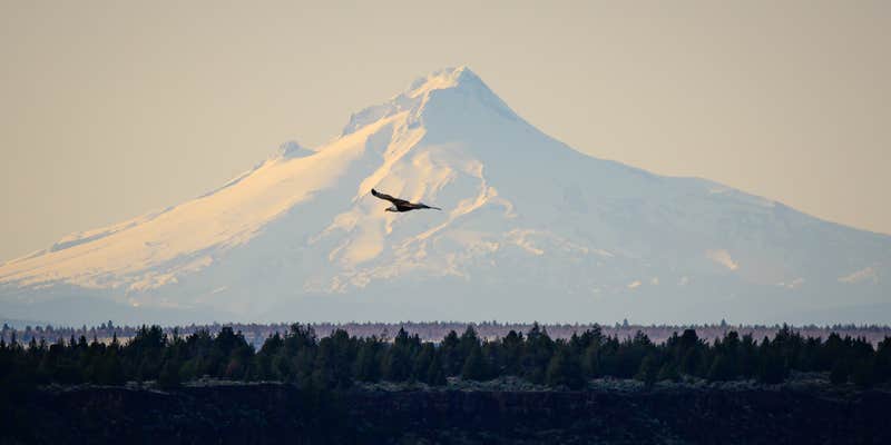 Camper submitted image from Deschutes River Campground — The Cove Palisades State Park