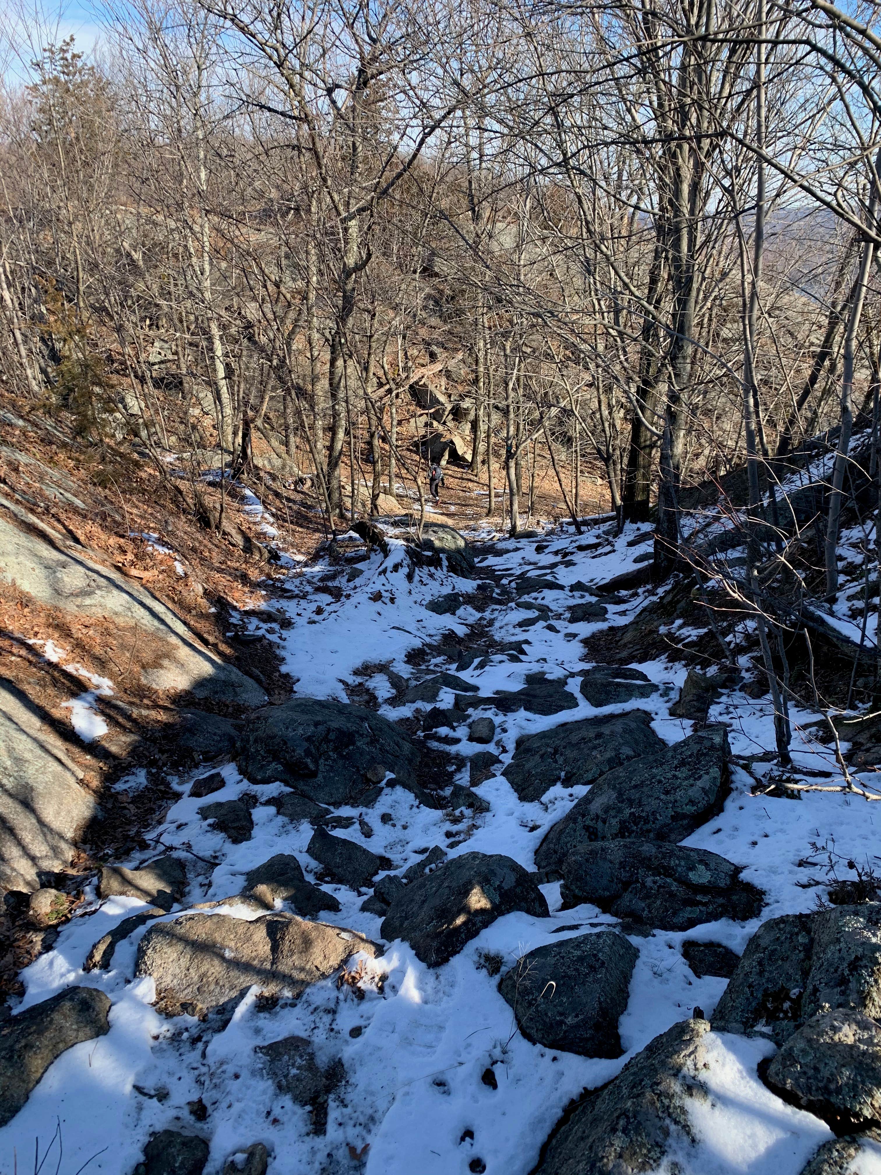 Camper-submitted photo at Stonetown Circular trail Primitive #1 near Washington Township, NJ