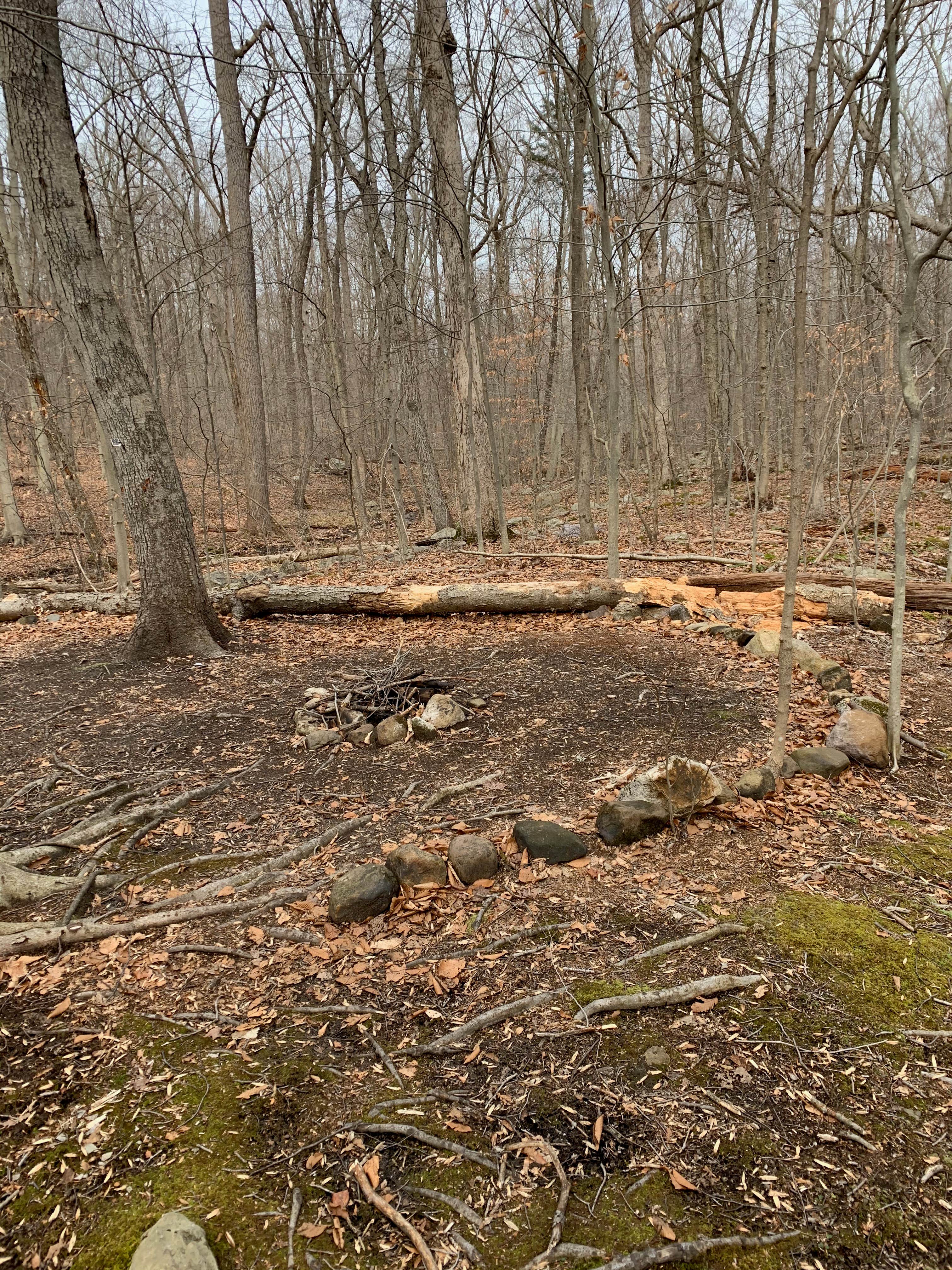 Camper-submitted photo at Stonetown Circular trail Primitive #2 near Sloatsburg, NY