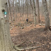 Review photo of Stonetown Circular trail Primitive #2 by Ethan K., March 1, 2021