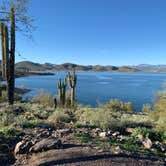 Review photo of Lake Pleasant Regional Park Campground by Chris P., March 1, 2021