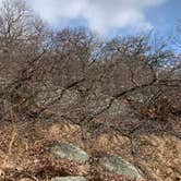 Review photo of Suffern-Bear Mountain from Gate Hill Road Primitive by Ethan K., March 1, 2021