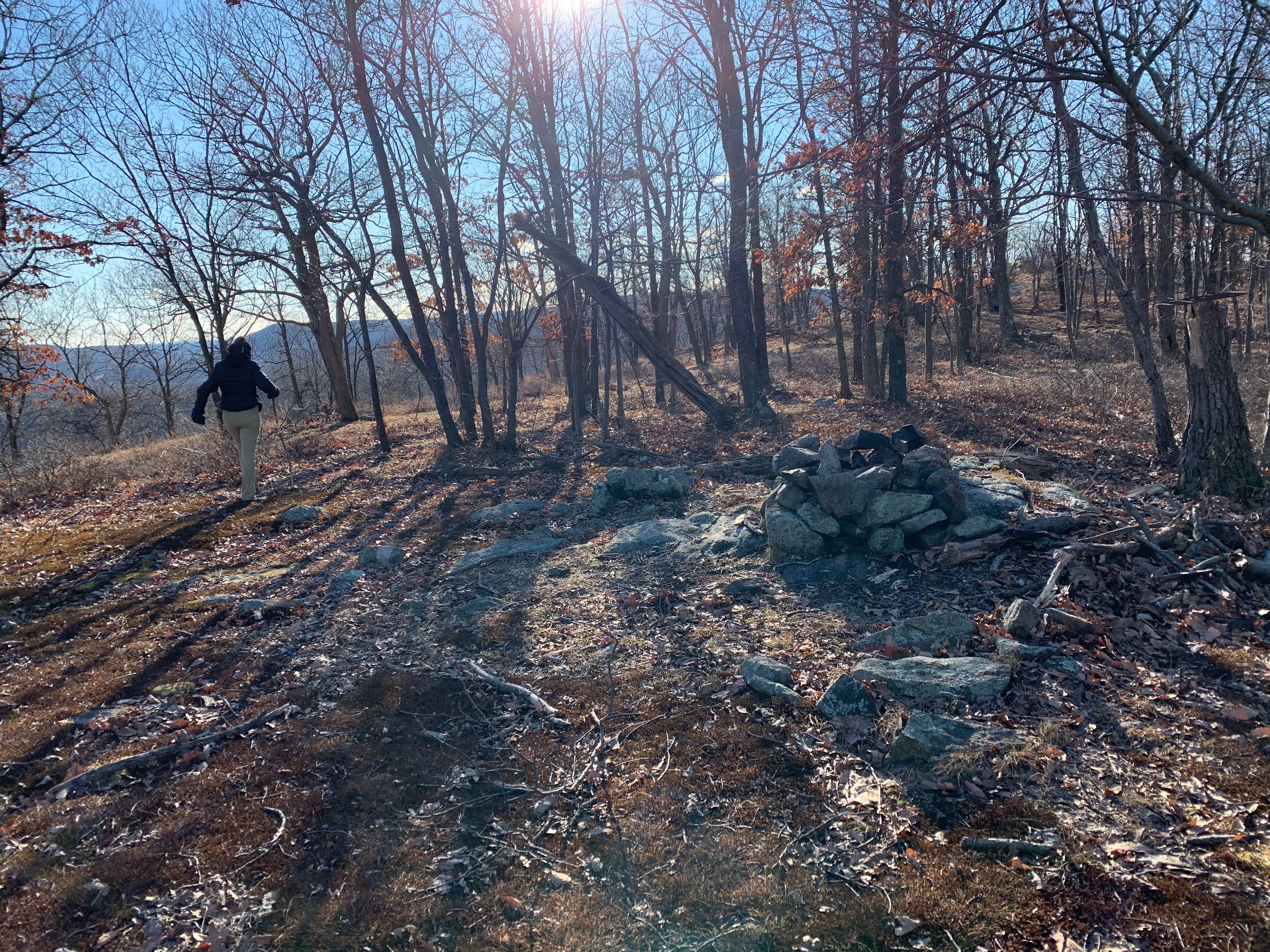 Camper submitted image from Suffern-Bear Mountain from Gate Hill Road Primitive - 3