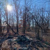 Review photo of Suffern-Bear Mountain from Gate Hill Road Primitive by Ethan K., March 1, 2021