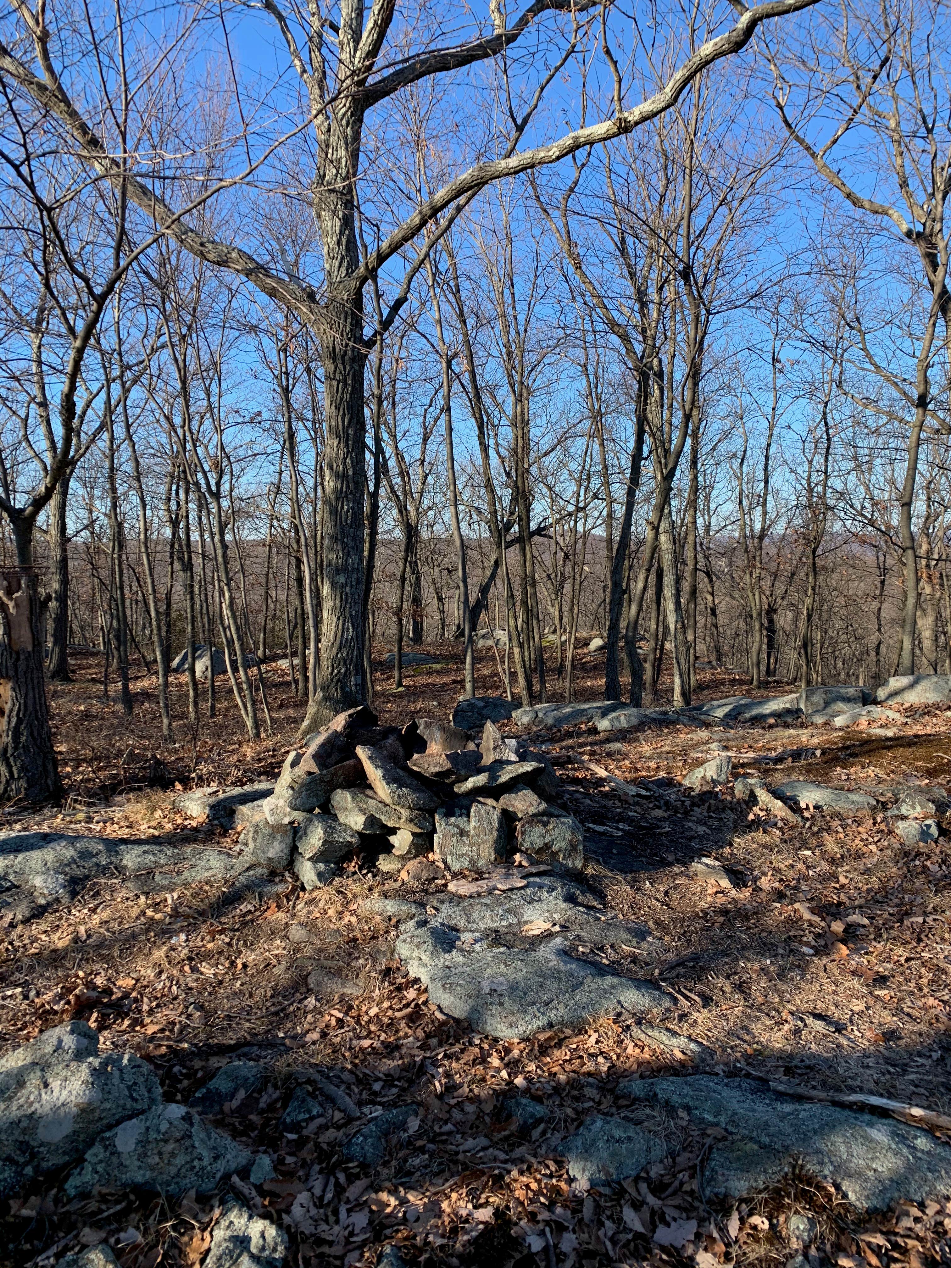 Camper-submitted photo at Suffern-Bear Mountain from Gate Hill Road Primitive near Irvington, NY