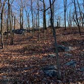 Review photo of Suffern-Bear Mountain from Gate Hill Road Primitive by Ethan K., March 1, 2021