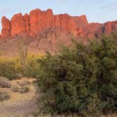Review photo of Lost Dutchman State Park Campground by Chris P., March 1, 2021
