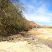 Review photo of Rio Grande Village RV Campground — Big Bend National Park by Lindsey K., May 29, 2018