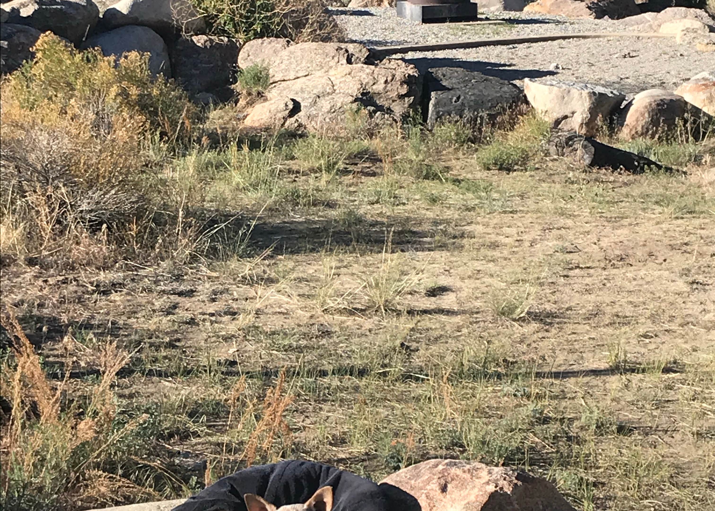 Hecla Junction Arkansas Headwaters Rec Area Camping The Dyrt