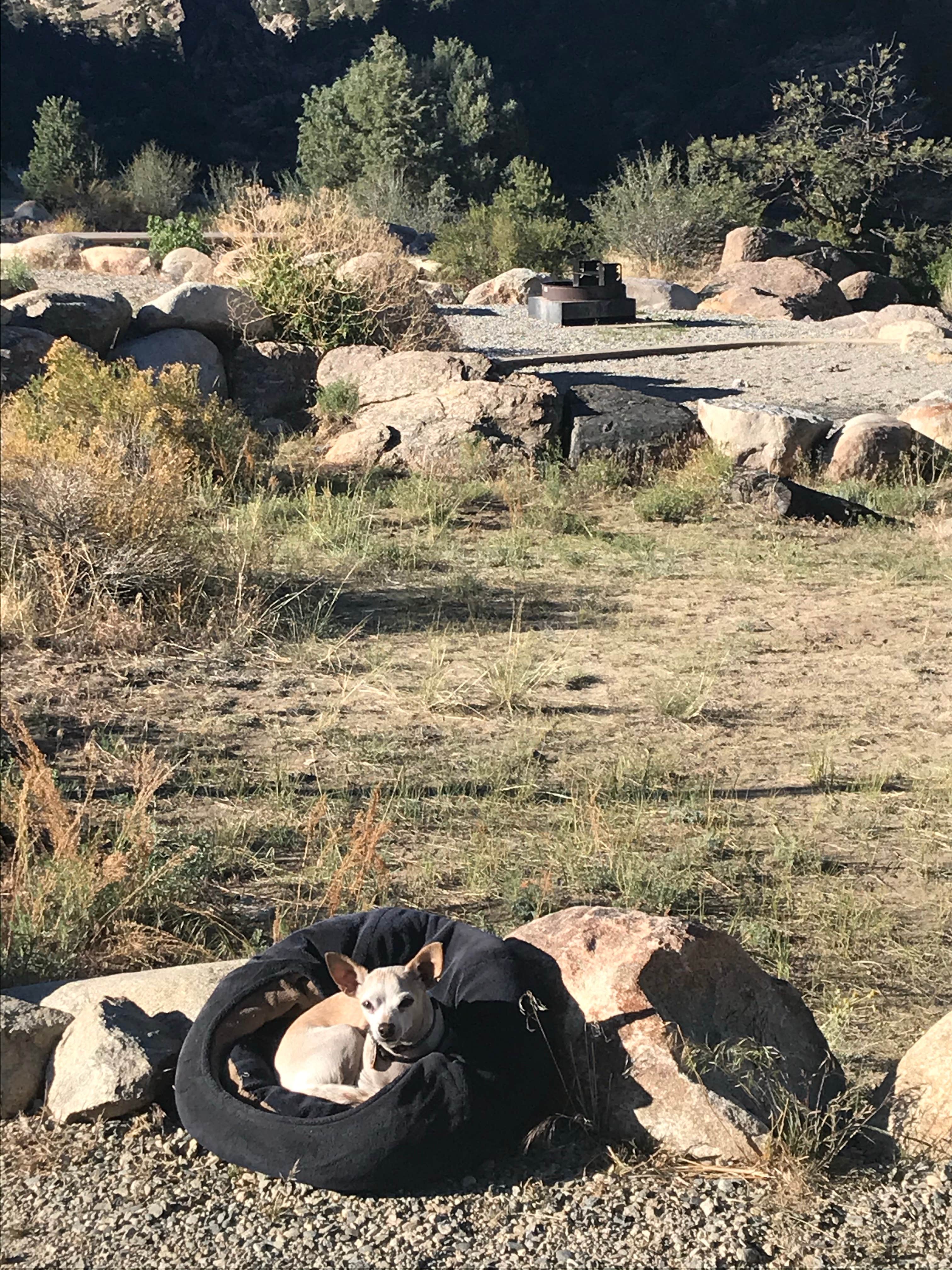 Camper-submitted photo at Hecla Junction Campground — Arkansas Headwaters Recreation Area near Poncha Springs, CO