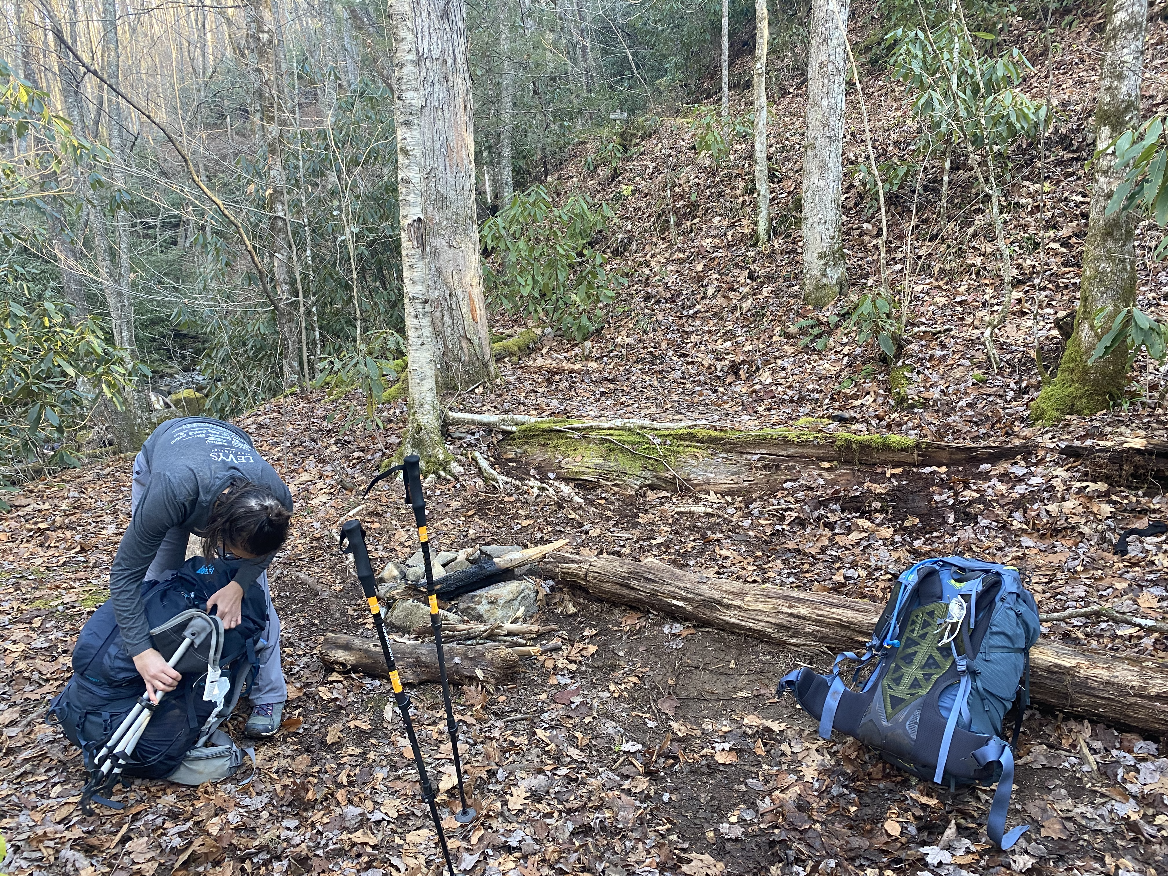 Review photo of Kephart Trail Shelter — Great Smoky Mountains National Park by Asher K., March 1, 2021