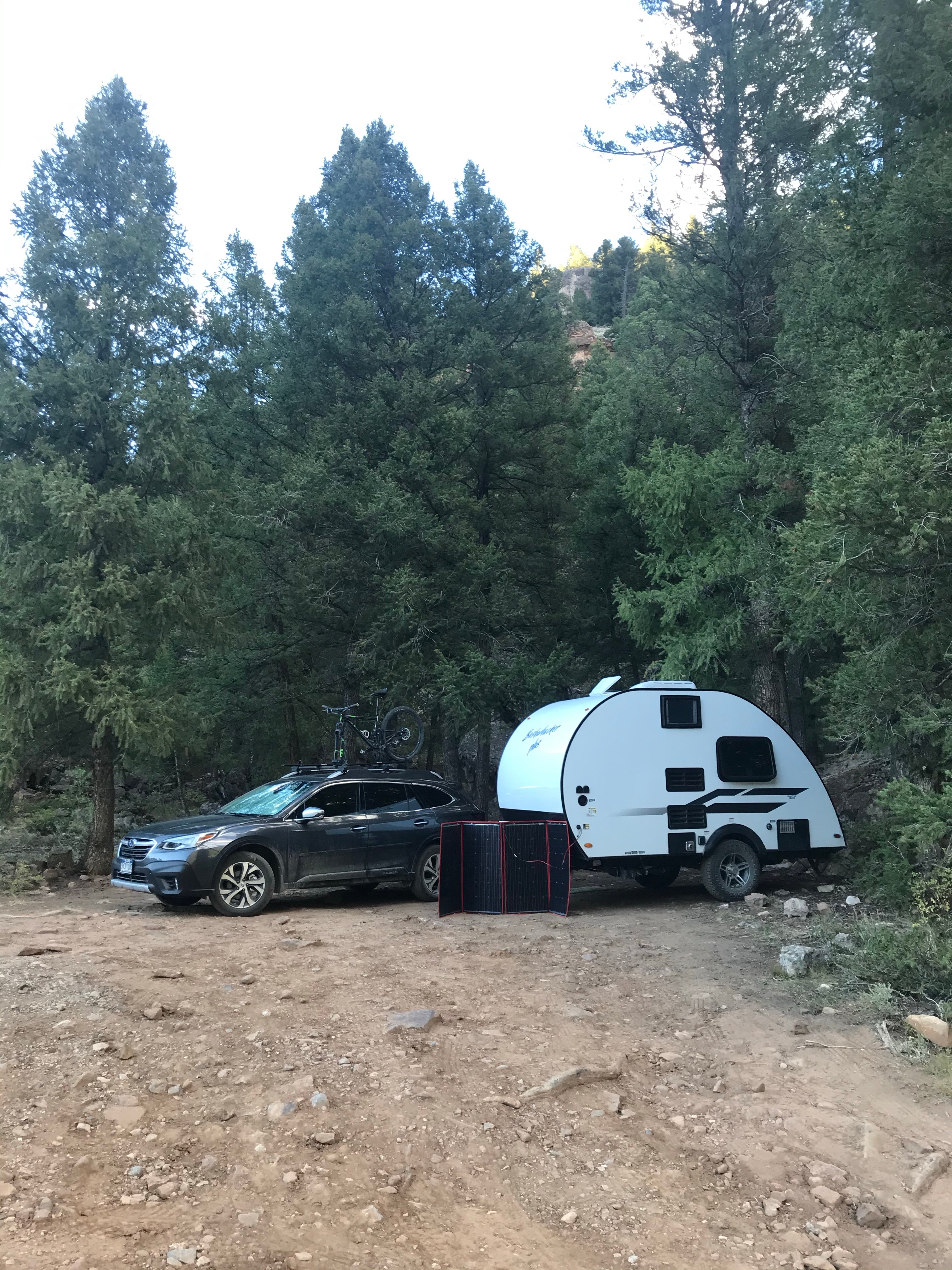 Camper submitted image from Gunnison National Forest Cement Creek Campground - 1