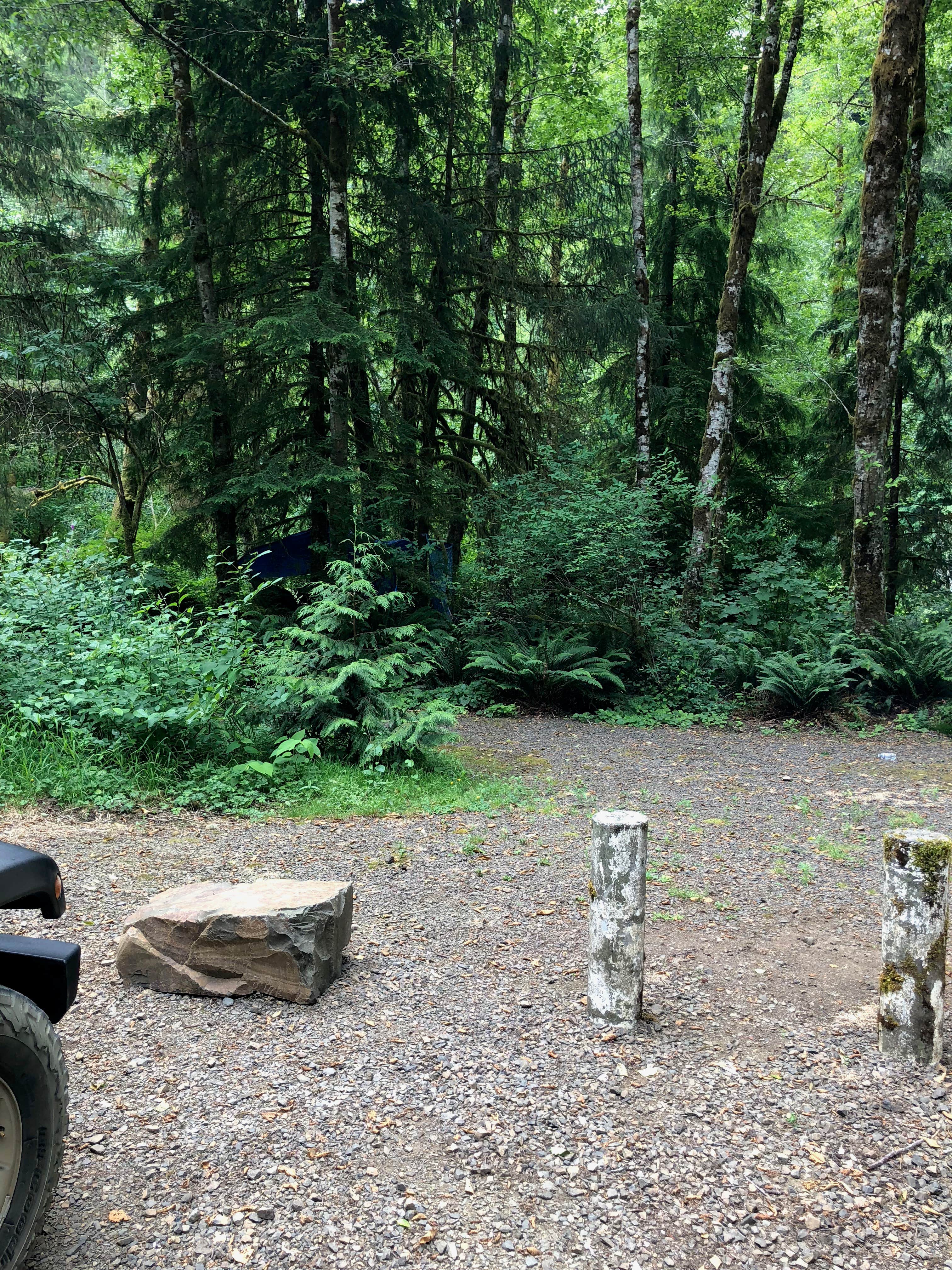 Camping near Tillamook Forest Dispersed on the Nehalem River: Beaver Eddy, Tillamook State Forest, Oregon