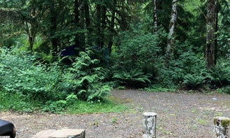 Camping near Nehalem River Waterfront: Beaver Eddy, Tillamook State Forest, Oregon