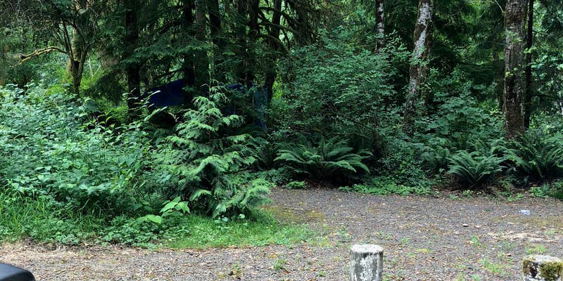 Camper submitted image from Beaver Eddy