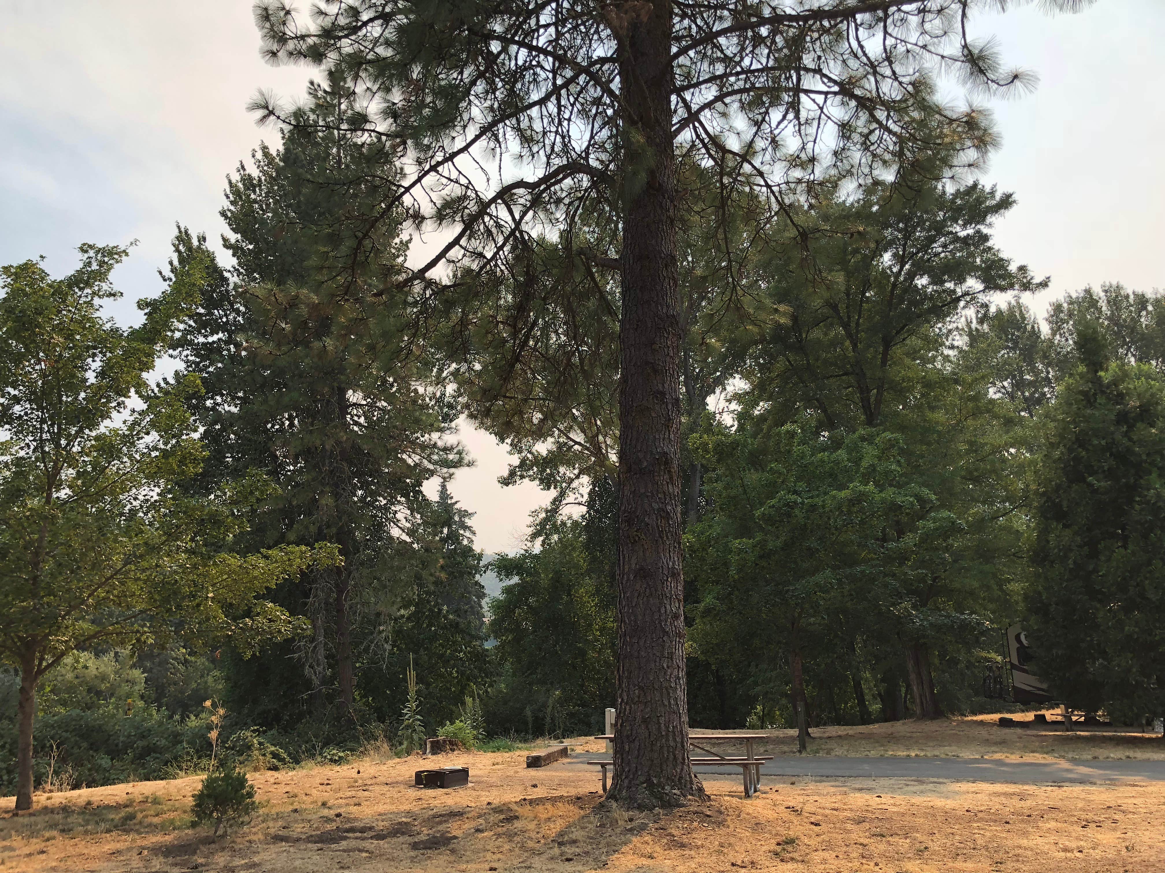 Valley of the Rogue State Park Campground