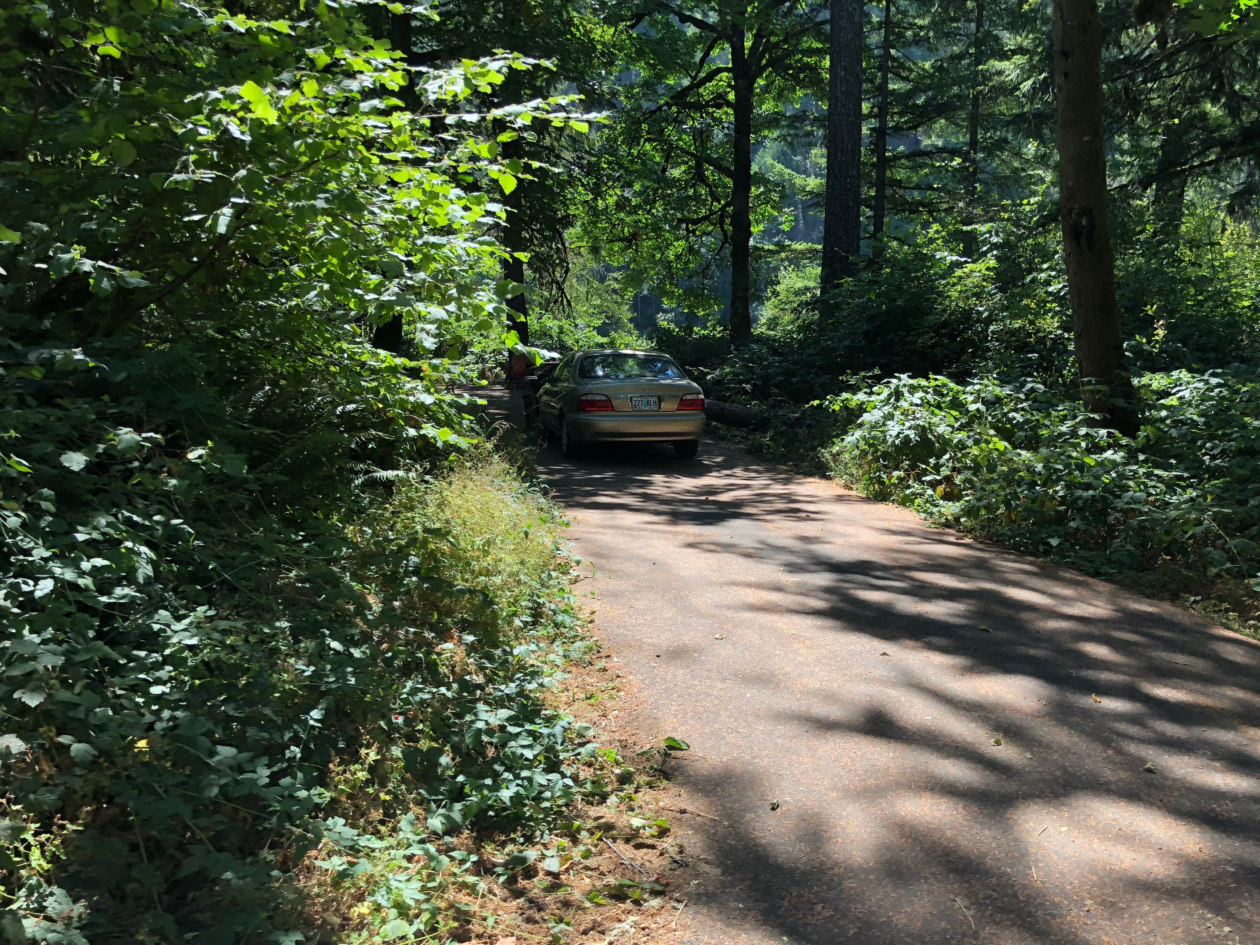 Camper-submitted photo at Lazy Bend - TEMP CLOSED DUE TO FIRE DAMAGE near Estacada, OR