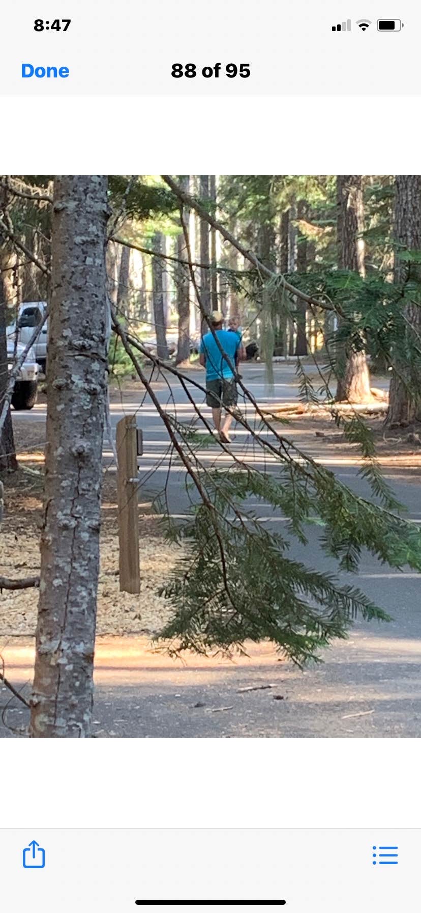 Thielsen View Campground The Dyrt