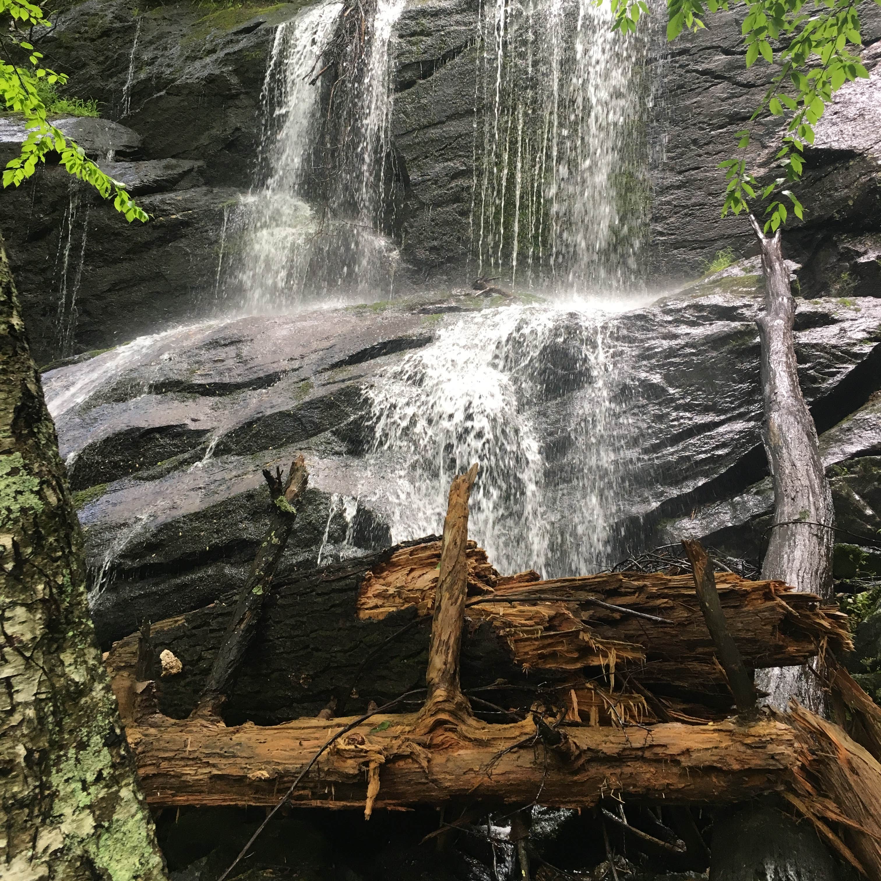 Spacious Skies Campgrounds Bear Den Camping The Dyrt