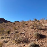 Review photo of Red Rock Canyon National Conservation Area - Red Rock Campground by Brittney  C., January 31, 2021