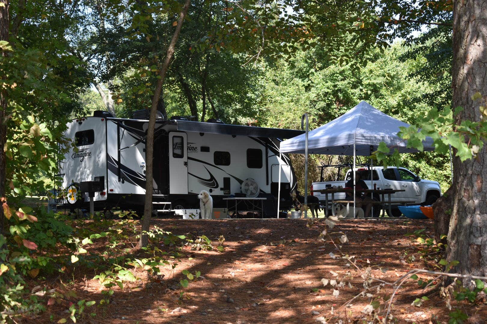 Camper-submitted photo at Bald Ridge Creek near Buford, GA